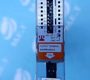 ANYWIRE A41PW-01U-2 output terminal module A41PW01U2 60days warranty